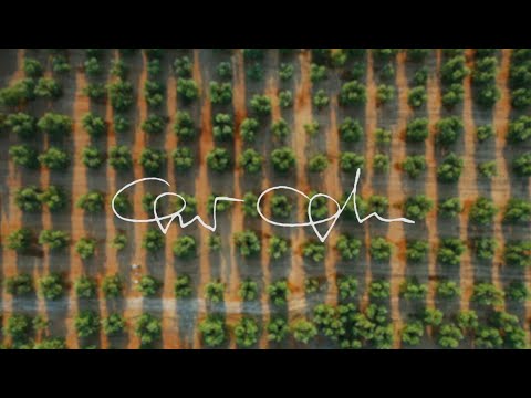 Frantoio Galantino. The new video - in English