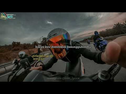 spider:telinga ke tulang