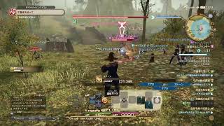 FF14体験中