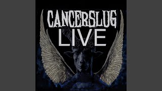 The Raven (Live)