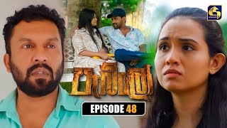 Pablo (පැබ්ලෝ) | Episode 48 | 19th October 2025 | Swarnavahini preview image