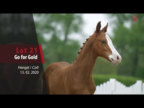21 Go for Gold Hengst v. Gabalier - Top Anthony II