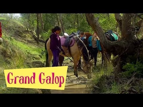 Grand Galop 215 - Une foi aveugle | HD | Épisode Complet