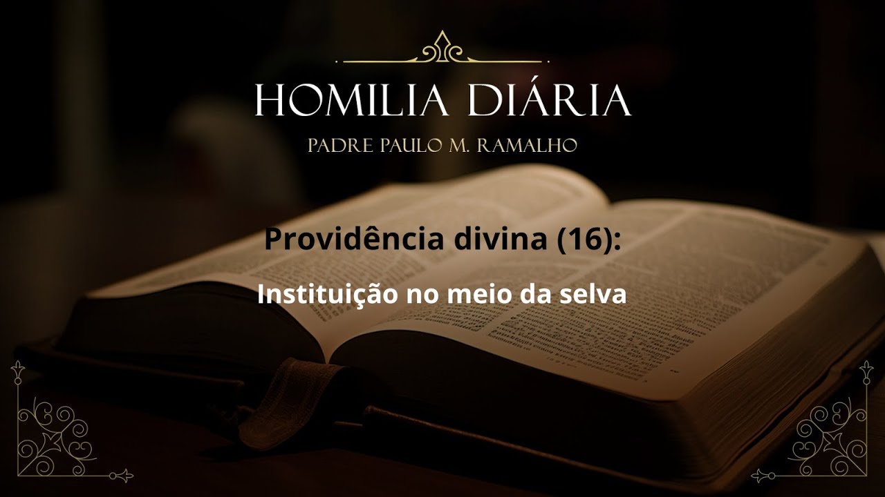 PROVIDÊNCIA DIVINA (16): INSTITUIÇÃO NO MEIO DA SELVA