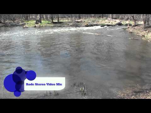 Rode mikrofonas Stereo VideoMic video
