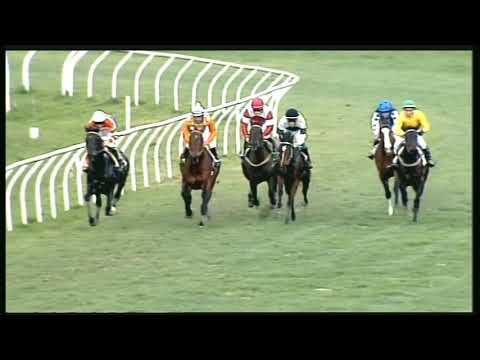 Galoppo 18/02/2020 - 5ª corsa