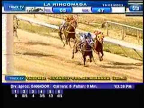 Resumen Domingo, 16 de Enero de 2011 - La Rinconada