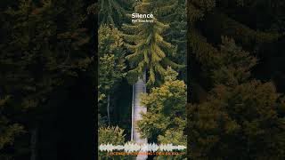 Miniature YouTube : Silence | Relaxation Profonde & Concentration par Soochrys