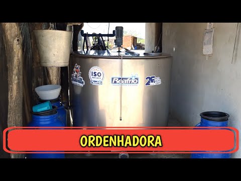 Ordenhadora na fazenda Lagoa da mata | Canapi/AL