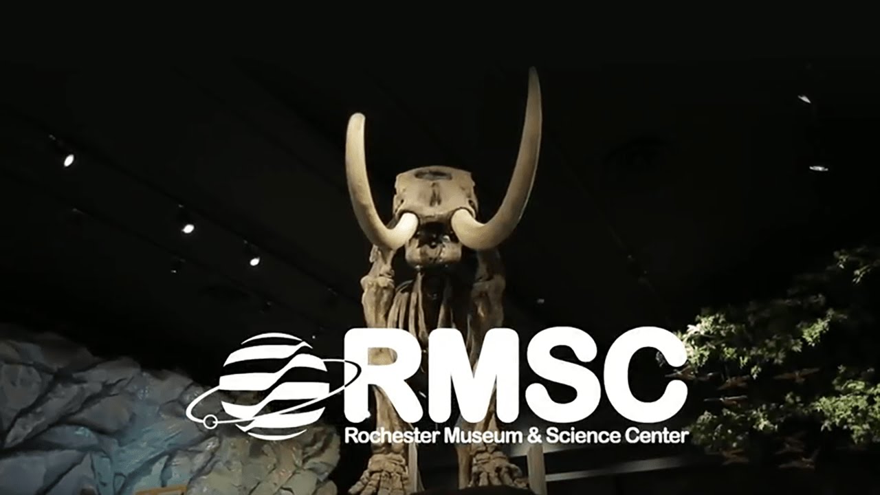 Invest in the future. Invest in Rochester. Support RMSC.