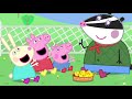 Peppa Pig S06E18 Petting Farm