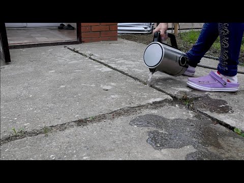 Kako se rešiti korova na prirodan način BEZ HEMIKALIJA, jeftino i efikasno?