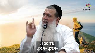הרב יגאל כהן | זרוק על השם!! (ארגון ענפים) - התמונה מוצגת ישירות מתוך אתר האינטרנט יוטיוב. זכויות היוצרים בתמונה שייכות ליוצרה. קישור קרדיט למקור התוכן נמצא בתוך דף הסרטון