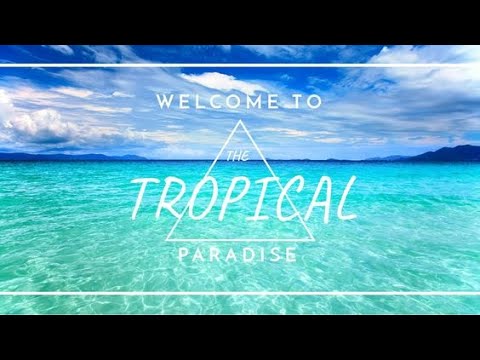 VIZE x Joker Bra x Leony   Paradise Official Audio  1440 X 2560