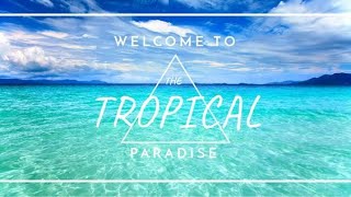 VIZE x Joker Bra x Leony   Paradise Official Audio  1440 X 2560