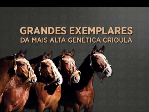 31.08 Leilão Carapuça, Ribeirão Bonito & Convidados