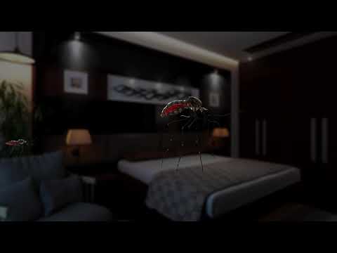 Videos from Lt. Shri. Odhavji Bhai R. Patel