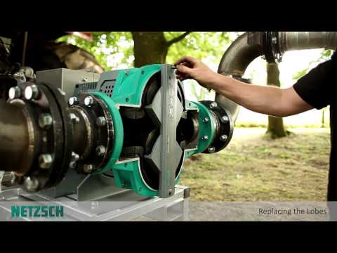 Mobile Rotary Lobe Pump