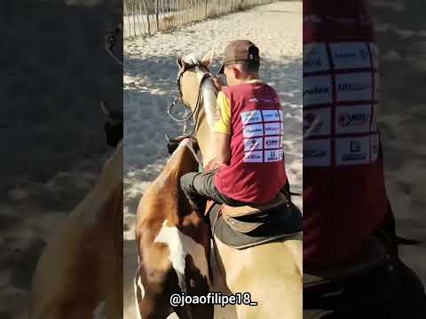 JF VAQUEIRO -AMOR CONFIA EM MIM EU JURO NÃO VOU TE ILUDIR-