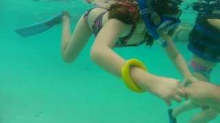 preview picture of video 'Trunk Bay Snorkeling on St. John'