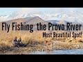 Fly Fishing on the Provo River, Utah (Most Beautiful Spot)