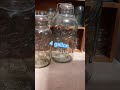 canning jar collection