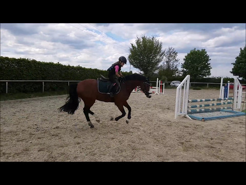 Malu (8) und Monte - Springstunde (2.) am 11.05.2017