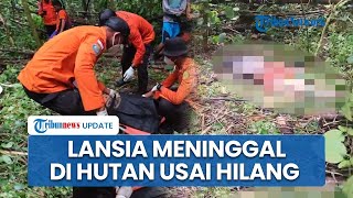 Kronologi Lansia 90 Tahun Ditemukan Meninggal di Perkebunan Desa Pisou usai 5 Hari Hilang