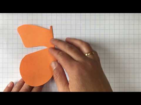 TH1 H8.1 Lijnsymmetrie