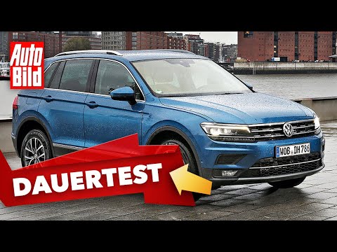 VW Tiguan (2020): Long-term test - SUV - Guide - Info