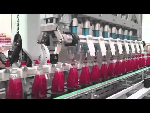 ROBOCAPPER   FG Robosys