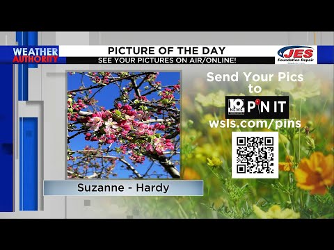 March 31, 2023 Picture of the Day