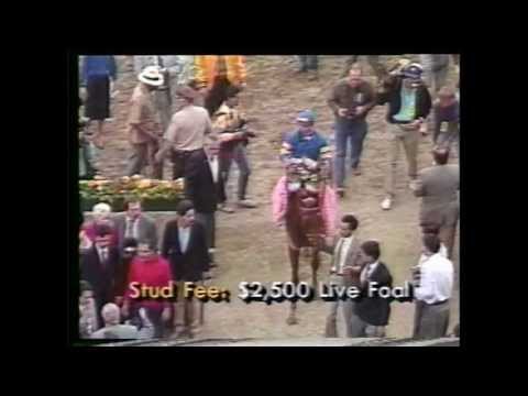 MISTER FRISKY - Anuncio de promoción del Silverleaf Farms