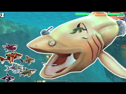 GIANT BASKING SHARK M0D MAX LEVEL !!! Unlocks All 38 Sharks