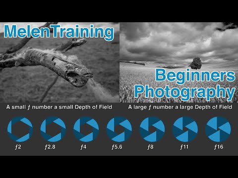 Photography Basics for Beginners