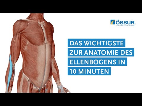 in 10 Minuten das Wichtigste zur Anatomie des Ellenbogens
