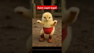 Download lagu ayam joget cinta merah jambu #ayamjoget #ayam #ayamwarnawarni #ayamlucu #anakayam #trending #fyp mp3 Download lagu ayam joget cinta merah jambu #ayamjoget #ayam #ayamwarnawarni #ayamlucu #anakayam #trending #fyp mp3