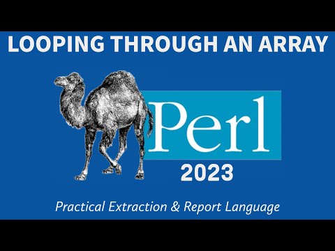 Perl Programming Array Loop 2023
