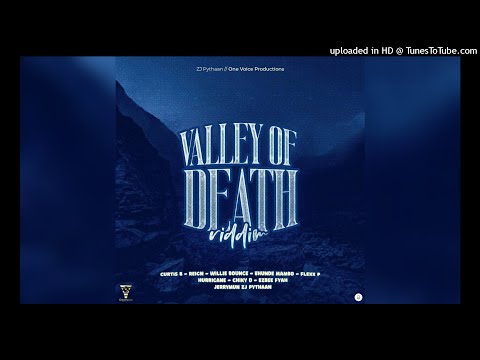 Curtis B - Lion In The Jungle