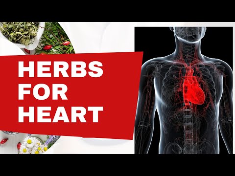 Herbs for Heart : Take Control of Your Heart Health Now With Herbs