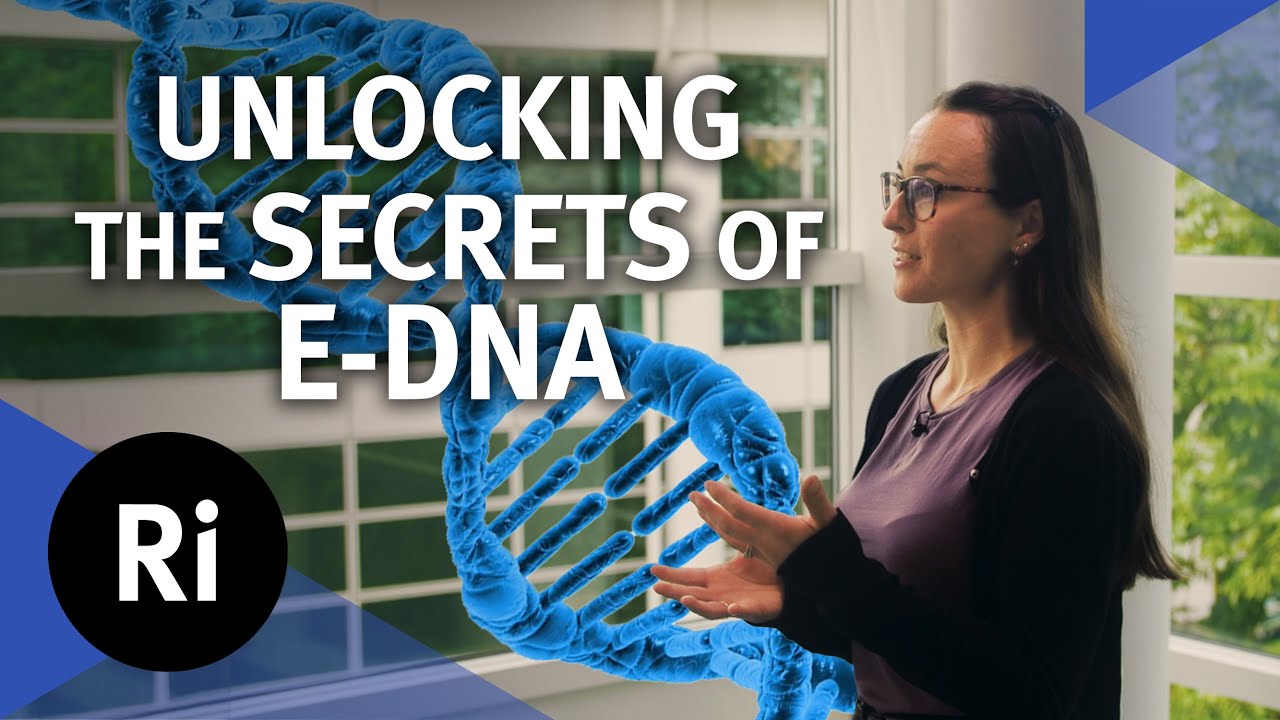 How air samplers could revolutionise biodiversity monitoring - with NPL