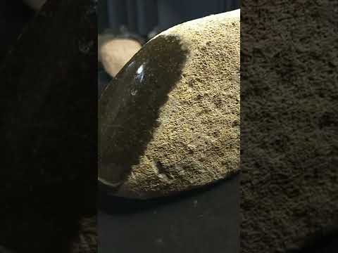 The Missing Link.             Brown Diamond