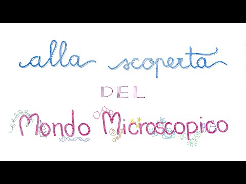 Alla scoperta del mondo microscopico