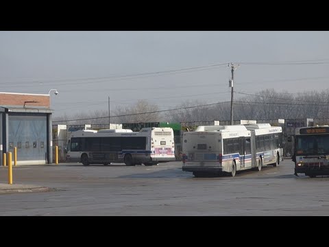 Next Cta Bus