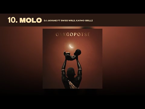 Molo - Dj Jaivane  Ft. Swiss Wrld & KayMo Grillz (Audio Visualizer)