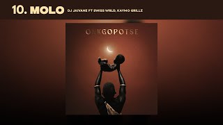 Download lagu Molo - Dj Jaivane  Ft. Swiss Wrld & KayMo Grillz (Audio Visualizer) mp3