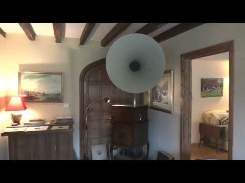 "Singin' the blues". Frankie Trumbauer's Orchestra.