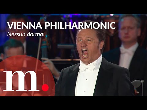 The 2025 Vienna Philharmonic Summer Night Concert - "Nessun dorma!"