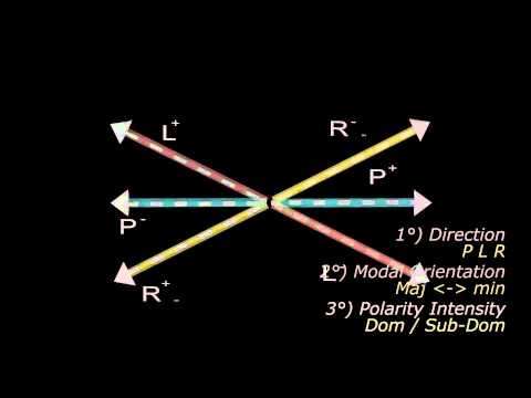 From Circle to Hyperspheres — Chap 20: Polarized Tonnetz
