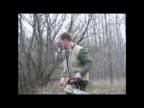 Favágás 2009 Rábapatona